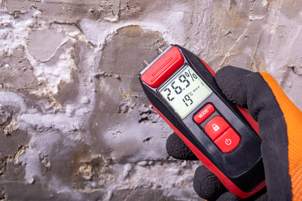 Best Mold Remediation for Specific Building Types in Mission, KS